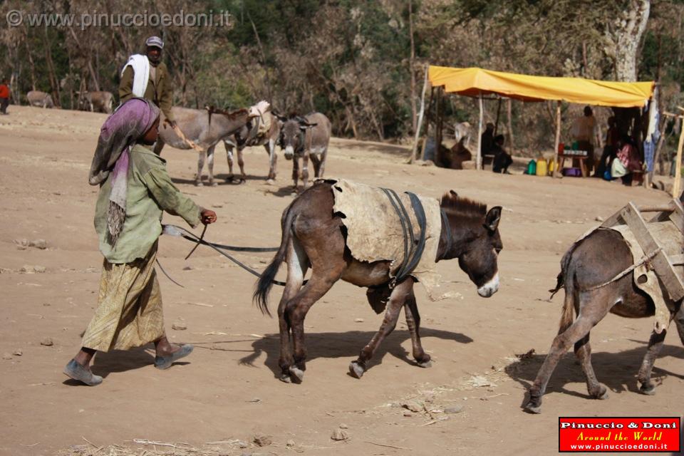 Ethiopia - Mercato lungo la strada per il sud - 22.jpg